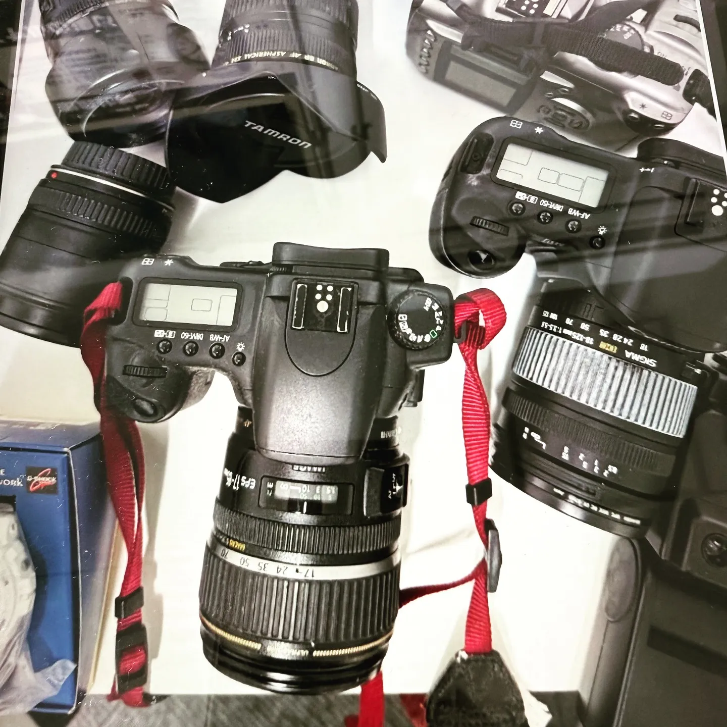 おはようございます！