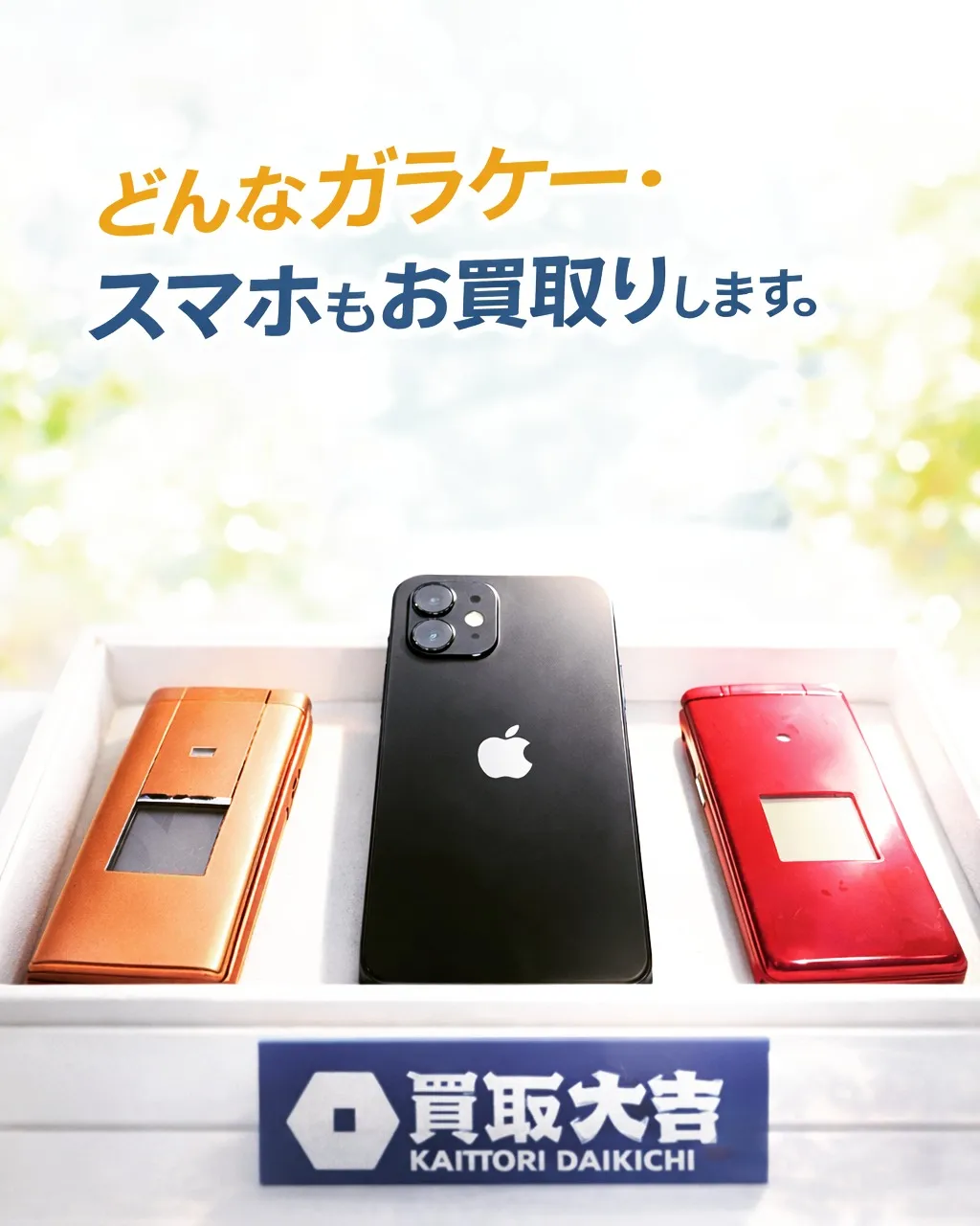 今日も気持ちのいい朝ですね✨